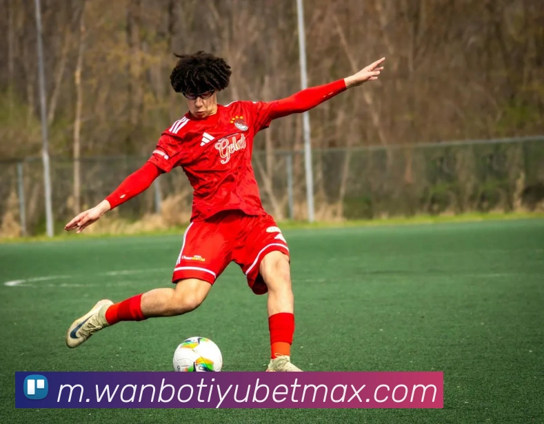 App Interface Preview